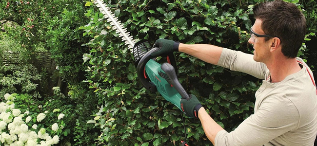 Dzīvžogu šķēres