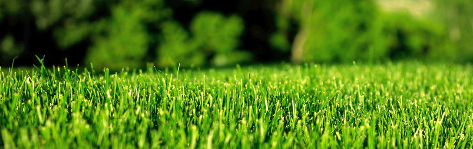 zāles pļāvējs un trimmeris