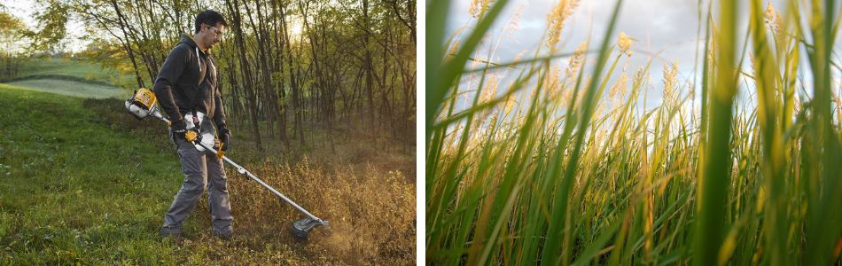 trimmeris un krūmgriezis
