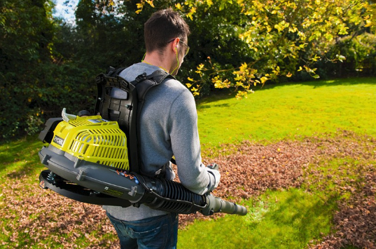 Kādu lapu pūtēju izvēlēties?