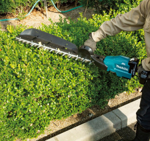 Kā izvēlēties dzīvžogu šķēres?