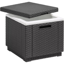 Külmakast Ice Cube KETER 29194600939, 42x42x41 cm, 40L, hall