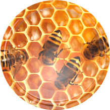 Honeycomb Ø66 twist-off vāks - 10 gab. BROWIN 136353, diametrs 66, augstums 1 cm