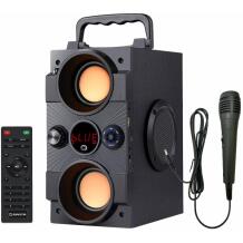 Manta Karaoke kõlar SPK8170000001, 16W, 10h, FM raadio, Bluetooth, USB-C, MicroSD, juhtmega mikrofon, kaugjuhtimispult