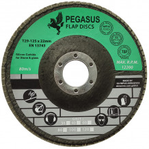 Slīpējamais disks lapiņu 125mm G40 Betonam PEGASUS