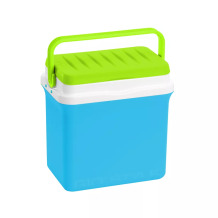 Cold box Fiesta+ 25 light blue/light green 111001095 GIO`STYLE