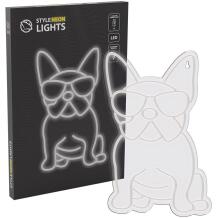 Manta LED valguslint SNL66WH, 5W, 5V, 26cm, 40cm, USB, pleksiklaas, koer, 2m kaabel