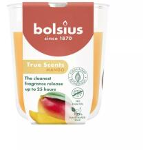 Bolsius Svece arom. 37930310 Ø7.3cm, h8cm, mango, degšanas ilgums 24h