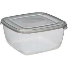 Nhg Säilituskonteiner Polar box 2724238, 200mm, 200mm, 99mm, 2.50l, hall, PP, sügavkülmas kasutamiseks, nõudepesumasinas ohutu