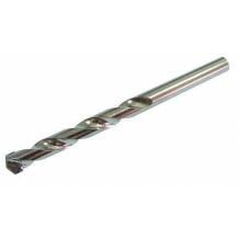 Proline Puuri 5731067, 6 mm, 10 cm, Betoon, 1 tk.