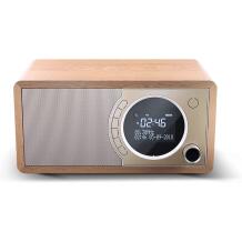 Sharp Digitaalne raadio DR-450(BR), 3W, DAB, DAB+, FM, Bluetooth, Pruun