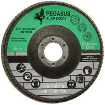 Slīpējamais disks lapiņu 125mm G60 Betonam PEGASUS