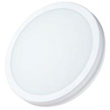 Teised LED laelamp VS-FL-30-IP65/W 30W 3600Lm AC170-265V Ø300x55mm IP65 ilma andurita