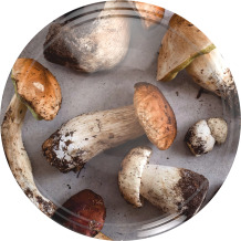 Vāks Twist off Ø82/6, sēņu dizains, 10 gab. BROWIN 136515, 6 āķi, 12.7 g