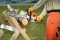 Chainsaw MS 181, rail 14 '' (35cm) STIHL
