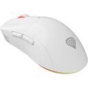 Genesis Zircon XIII Custom pele, NMG-2090, 26000 dpi, 7 pogas, optiskā, bezvadu, 2.4 GHz, USB