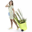 Karutis Easy Go Breeze 50L juodas KETER 29199467900 51x56x84cm