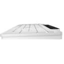 Lenovo 800 klaviatuur GY41R69583, Bluetooth 5.1, 108 nuppu, valge, QWERTY, Windows 11, traadita, 1-aastane garantii