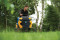 Бензиновый садовый трактор XT1 OS107, 547 куб. см, 9,0 кВт, 107 см, 25-100 мм, 8000 м2, 13A8A1TS603 CUBCADET