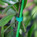 Sodo Velcro augalų tvirtinimo juosta, &scaron;viesiai žalia, 15 mm x 5 m BIOOGROD 722506