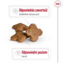 Royal Canin Mini Pieaugu&scaron;ajiem 8+ IMPORT-4989, 800 g, 27%, 16%, 6.3%, 1.5%, vistas gar&scaron;a, bez sojas, bez konservantiem