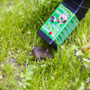 Mouse Trap - Humane Live Catch Trap BIOOGROD 730406, 6.3x24.5x9.3 cm, plastic