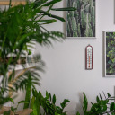 Комнатный термометр с серебряной шкалой BIOTERM 010701 -10°C до +50°C 16cm