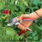 Ножницы садовые "Professional" RS 5000 73AFA007650 WOLF GARTEN