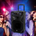 Manta Karaoke k&otilde;lar SPK5021PRO, 80 W, 12 tolli, 2x mikrofonisisend, Bluetooth, FM raadio, 5 h esitusaeg