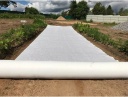 Non-woven geotextile STARKEDACH 2x50m 140 g/m2 54100