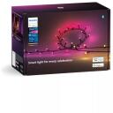 Philips Hue Festavia gaismas virkne 8720169246621, 250 LED, 20m, 14 W, maināms, Bluetooth, balss vadība