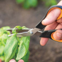 Žirklės SOLID SP240; 1063327 FISCAR