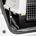 Ремни безопасности для автомобиля 3 шт. для транспортной клетки Gulliver Touring черный 2196341 STEFANPLAST