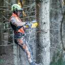 Dewalt Grandiklis DCMCST635N-XJ 54V, 350mm, beanglinis variklis, baterijų suderinamumas: Dewalt 54V FLEXVOLT Li-Ion