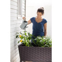 Lillepott Easy Grow Rattan Waves pruun KETER 29194592590 114x49x76cm