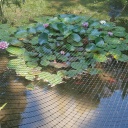 Mutiv&otilde;rk 1x200 m (40 g / m2) 1A030252