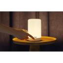 Gosund nutikas valgusl&uuml;liti LB3_, 110mm, 110mm, 225mm, 100lm, 5W, RGB v&auml;rv, IP20, &ouml;&ouml;lamp, integreeritud LED pirn