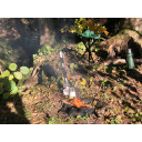 Trijkāju krēsls 'Travelchair', ērts un izturīgs, R591103, BasicNature