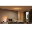 Philips Hue Datura laelamp, 8720169277618, 48 W, 3300 lm, modernne, dimmerdatav, LED