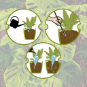 Trīskār&scaron;s laistī&scaron;anas globuss, BIOOGROD, 720992, caurspīdīgs zaļ&scaron;, 600 ml