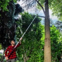 36 cm teleskopiskā zāģis ar āķi un rokturi 5.5m, John Gard, G72095, SK5 tērauds