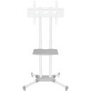 Onkron TV alus TS1351-W, 32-65 tolli, maksimaalne koormus 50 kg, VESA 100x100-600x400 mm, k&otilde;rguse reguleerimine 1200-1500 mm