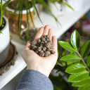 Leca clay pebbles 10-20 mm 4l BIOOGROD 749950