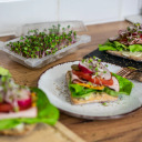 Seed sprouter tray + radish seeds BIOOGROD 745748