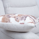 Spilvens HOLLY 45x45cm, truši P0069414