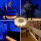 LED neitrāli baltas gaismas lente 3 m 540 lm 4000 K EKZ0668 EKO-LIGHT