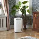 Gaisa sausinātājs AD30 Hybrid 01794 Wood‘s