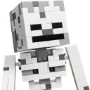 Lego MINECRAFT 21594 Skeletas, 502, 290mm, 222mm, 95mm, 700g, 10+ metų, instrukcija