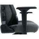 Игровое кресло размера XL с 4D регулируемыми подлокотниками регулируемая спинка 90&deg;&ndash;160&deg; подушки для головы и поясницы газлифт Class-4 до 150 кг Boulder XLCH01 Серый CND-XLCH01 CANYON