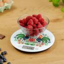 Zelmer Virtuvės svarstyklės ZKS1611 73105635P, 5kg, 1g, LCD, Grūdintas stiklas, Taros funkcija, Automatinis i&scaron;jungimas